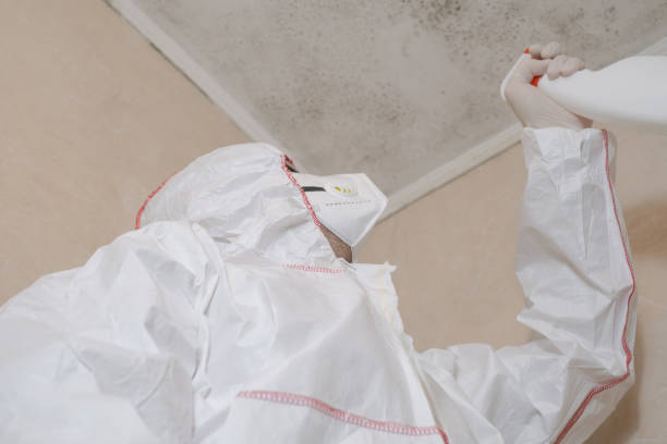 Best Certified Mold Removal  in Highland, IL