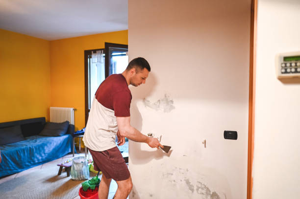 Best Mold Damage Repair  in Highland, IL